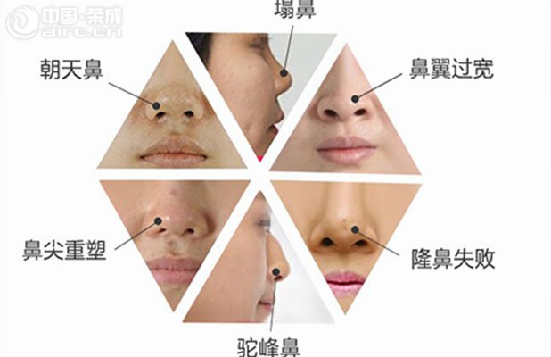 <b>  ǲW(xu)(bio)(zhn)Щ</b>