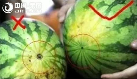 sϼҲҪĸģ(hu)ô