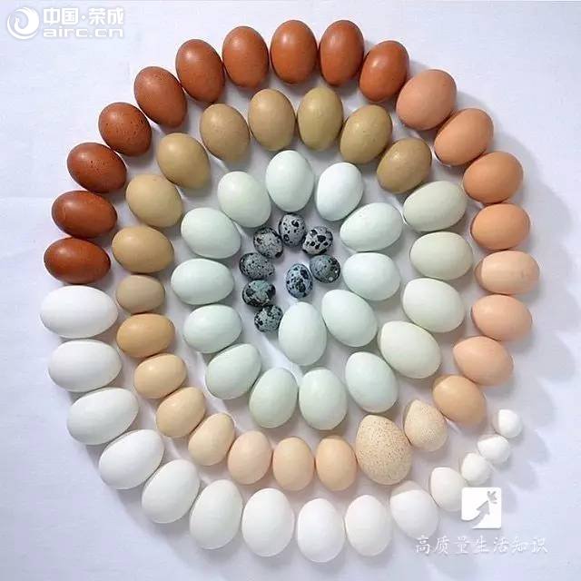 s | 2Kһ80һuɶ^(q)e˜y(c)˜y(c)һ@