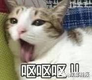 s | Ȧl(f)ˎ׏DŮӱȦǸ3r5000