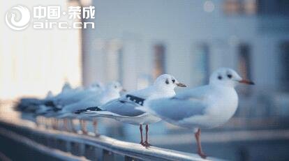 s | 8cǰĕrQ|