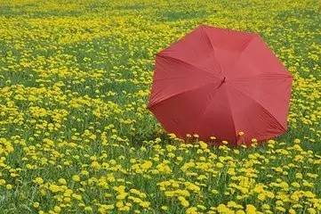s | Pc(din)˂(g)Ӽ(sh)С~