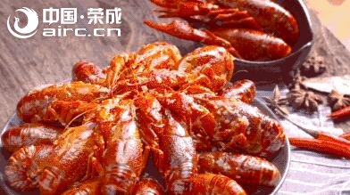 Ů賿ot(y)һֻ򡭘s