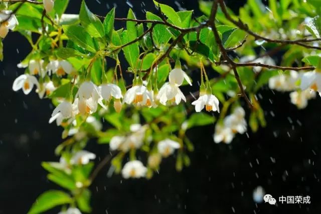 sỨľɽcٝ^|